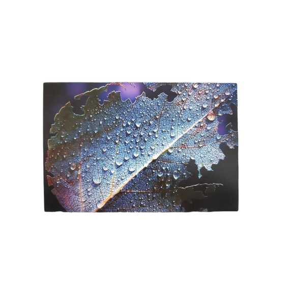 ☕ Nature Greeting Cards set of 5 - Picture 4 of 12